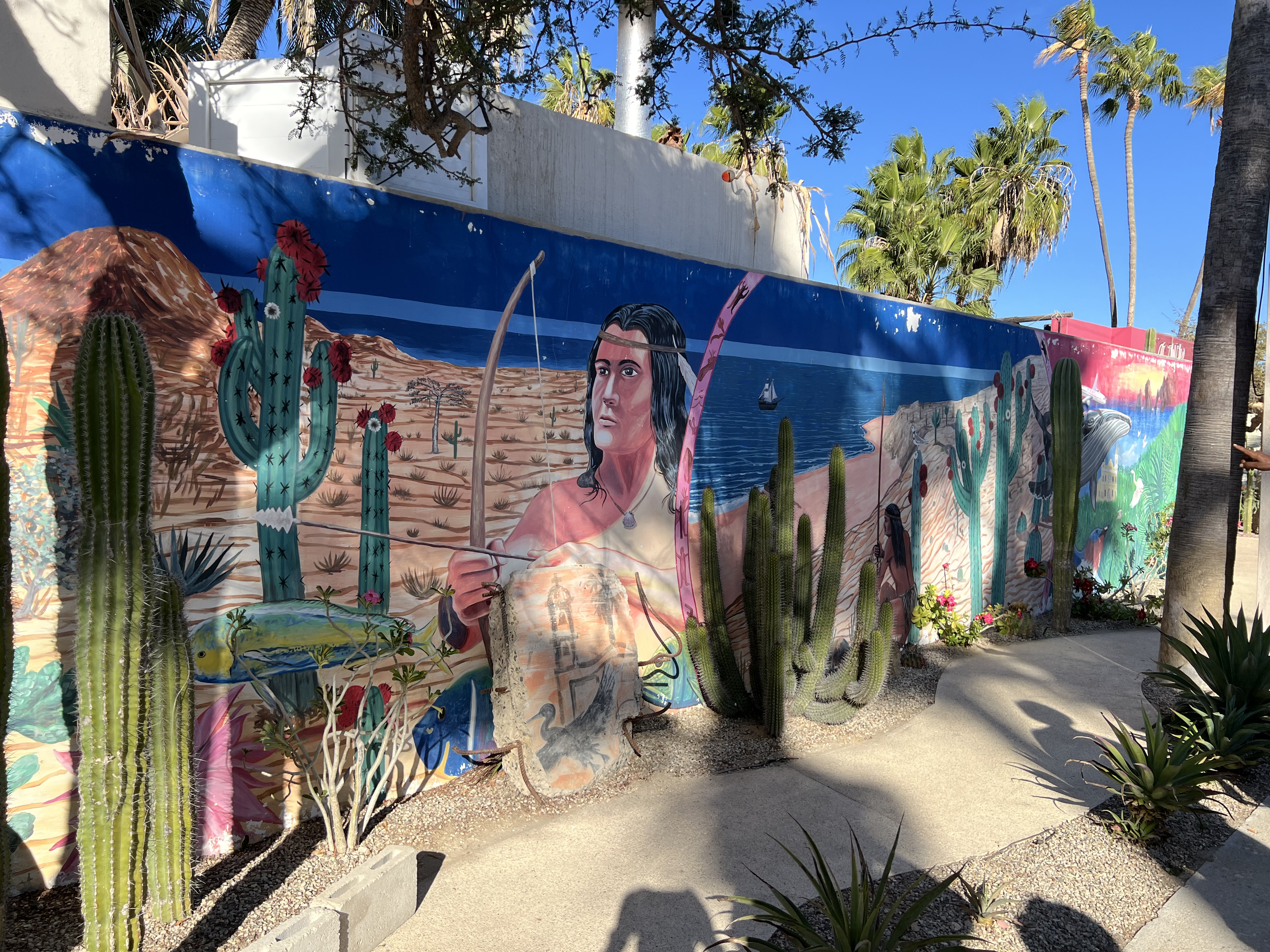 ./2024/13 - Cabo/IMG_4571.jpg